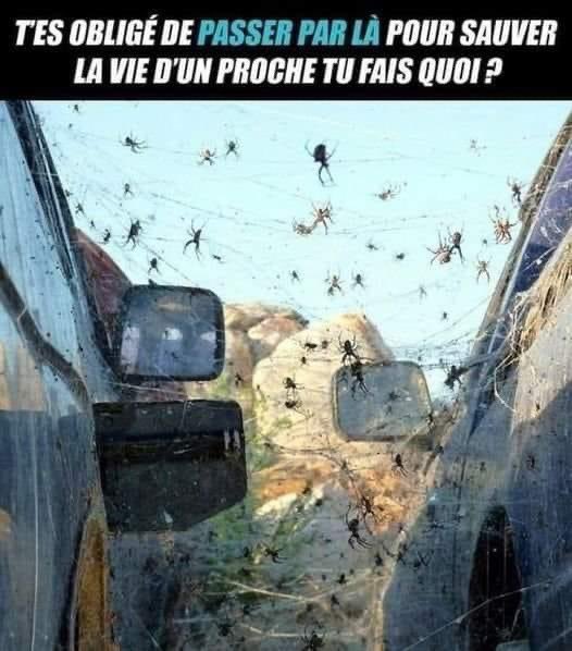 🇫🇷 💐 Calimero 💐 🇫🇷 tweet media