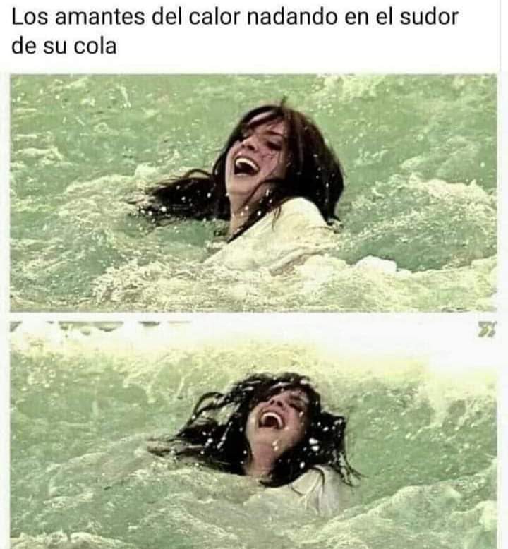 JorchTrujillo's tweet photo. Y que tiene?? Y que tiene??
Mejor la cola sudada que las patas frías https://t.co/JROMiaMFIb