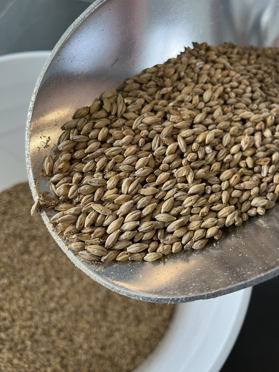 hoplog's tweet photo. Brew day. Hopefully I can make this a regular occurrence in 2022. With luck, I’ll be drinking helles at Easter! https://t.co/5O6HUlaZmo