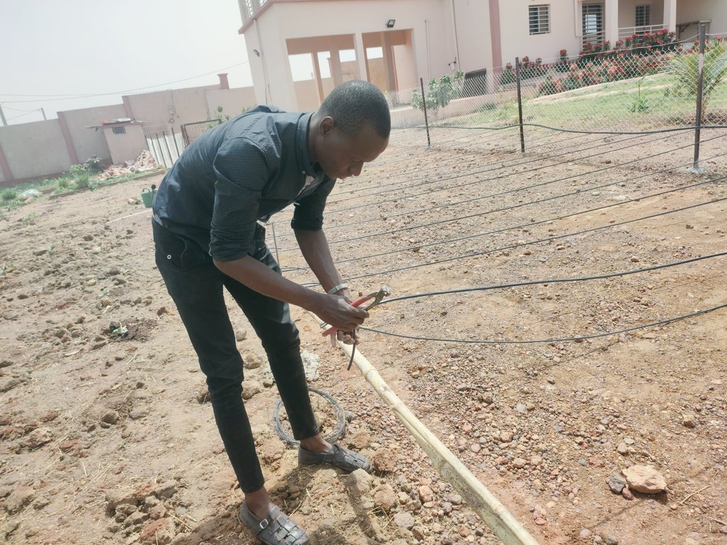 Succes_Yiriba's tweet photo. Installation du système d'irrigation goûte à goûte et pose des pots contenant de la fibre de coco utiliser comme substrat pour la culture hors sol de 600 pieds de tomates.
#Contactez_nous
#Culturebio
#Yiri_Agri
#Culture_hors_sol https://t.co/lW7DPCix1Z