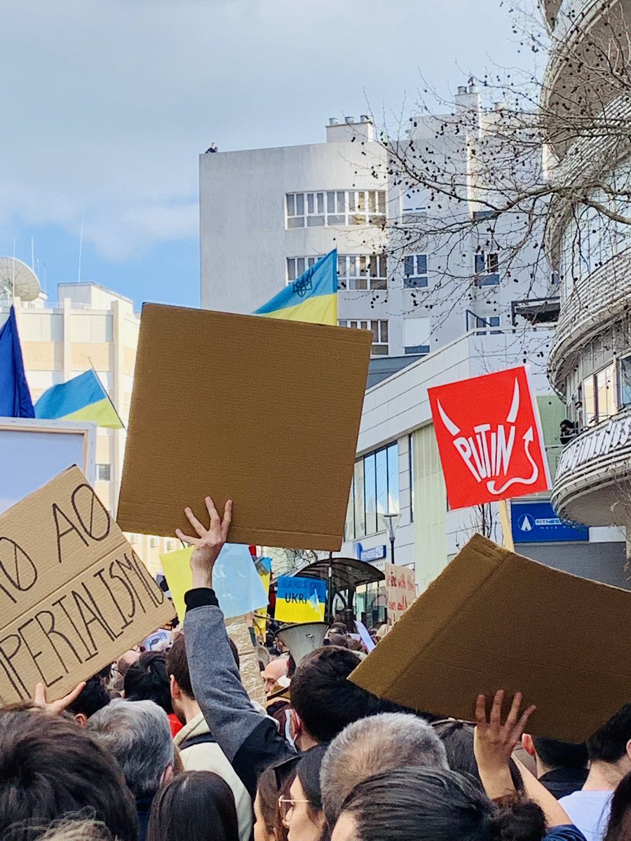 Alexandra Ribeiro tweet media