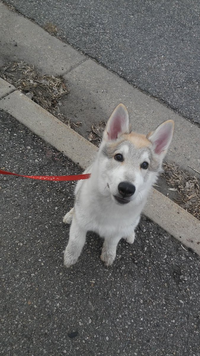 wanderin.wild tweet media