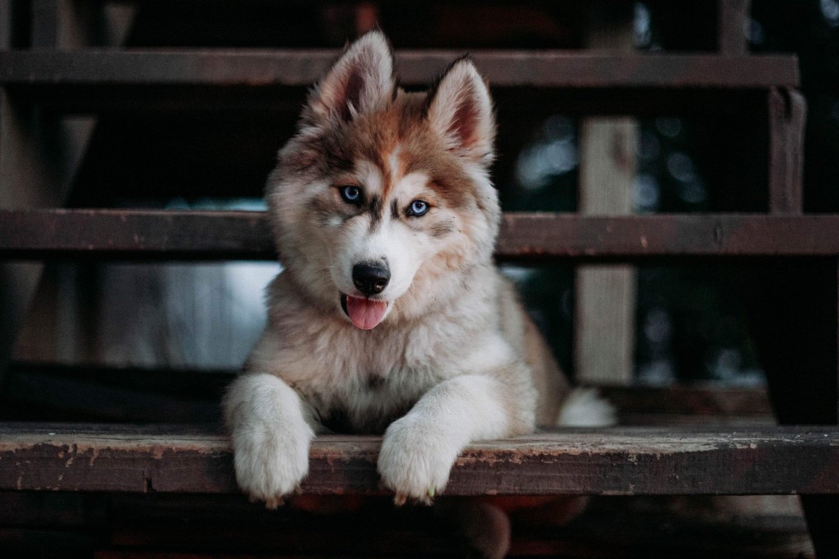 wanderin.wild tweet media