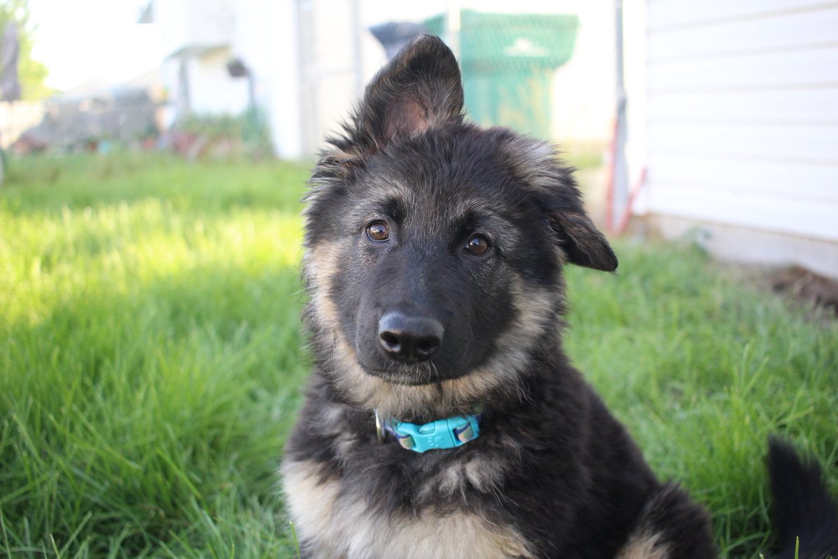 wanderin.wild tweet media