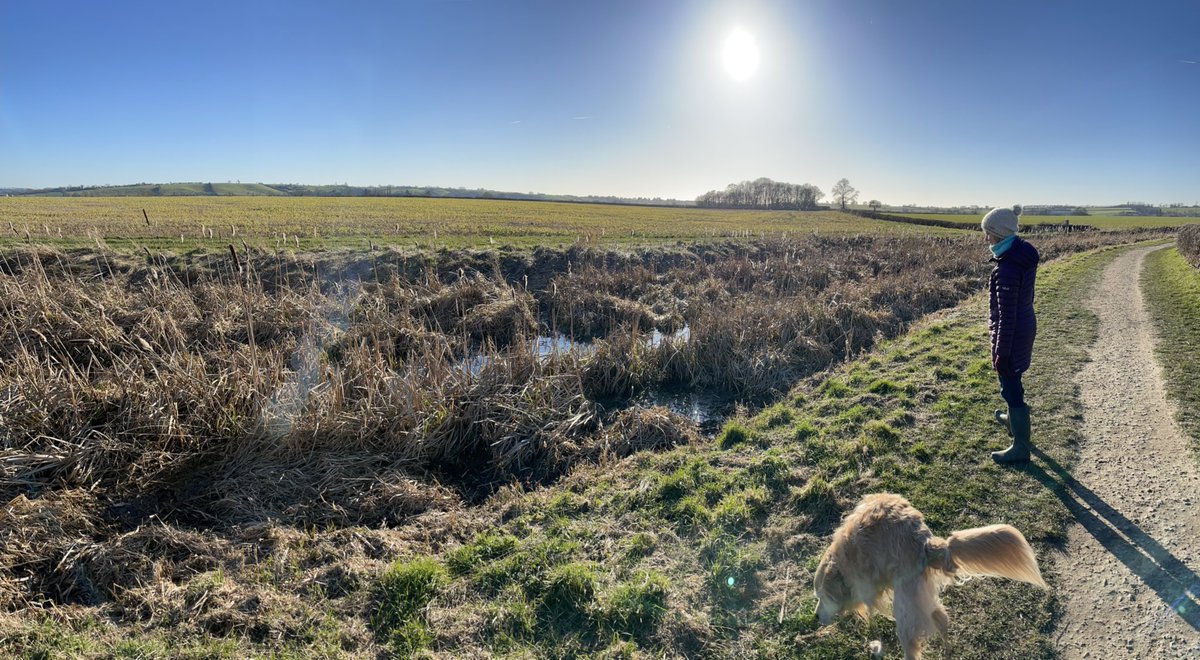 Big skies in Notts. May have been a pub involved….
