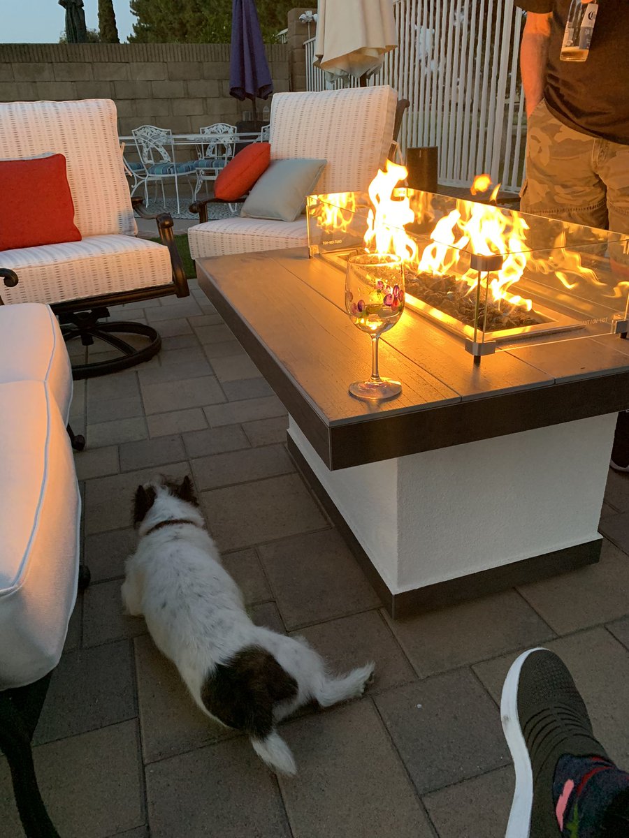 PoiseMatters's tweet photo. Weekend vibes #threedogs #placentia neighbors are the best https://t.co/cEif4fP0qq