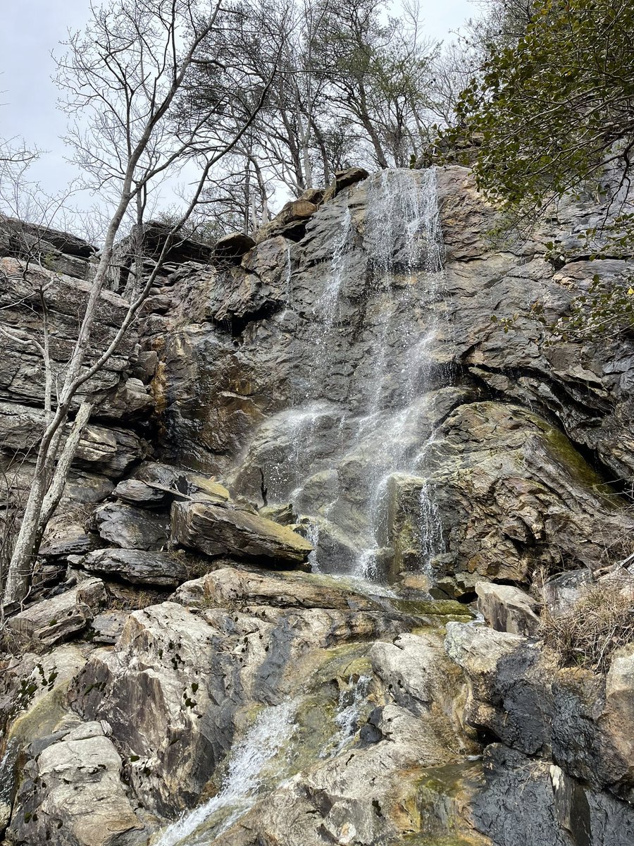 KrisRPT's tweet photo. Ventured out into nature yesterday at #MountCheahaStatePark and a tiny portion of the #PinhotiTrail. Hiked a total of ~8 miles. Such a wonderful day. #getoutdoors #hike #pathways #nature #thegreatoutdoors https://t.co/ePqAqrMc3f