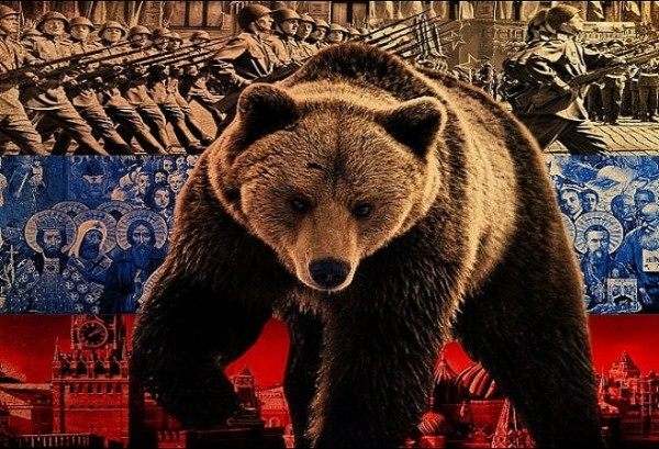 Медведь с русским флагом. Медведь на фоне российского флага. Российский флаг с медведем. Фото медведя на фоне российского флага