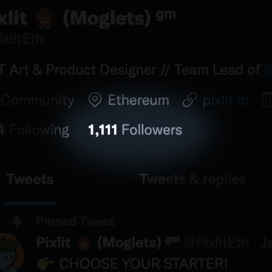 Pixlit's tweet photo. 🚀🚀🚀

Thanks, my 1111 followers, for your continued belief in my passion. Here's a sneak peek of something we're working on at @MogletsNFT!!!

👀 If you see this, you are curly. All distractions will be considered for nice kiss. https://t.co/KynTHiNX70