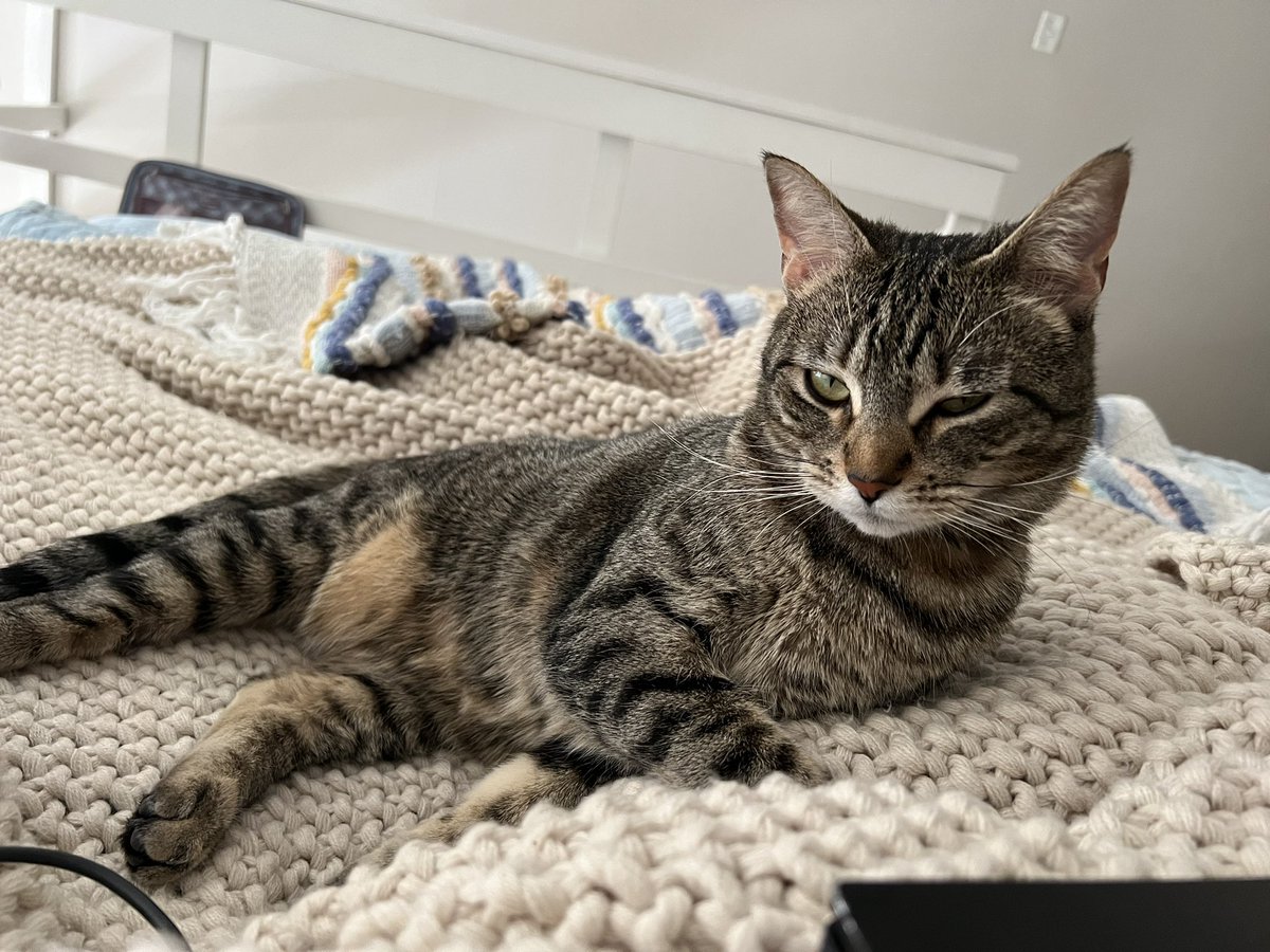 katiejwoo's tweet image. Forever mood