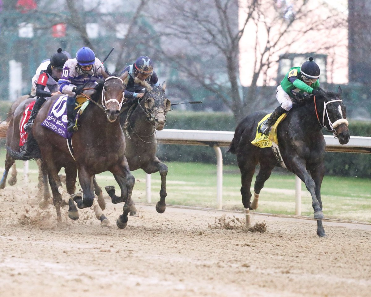 TwinSpires's tweet photo. Raise your hand if you didn’t have 75-1 Rebel Stakes (G2) winner, #UnOjo…
We’re expecting a lot of hands in these comments with odds like that 🙋♀️🙋🙋♂️
📸: @CoadyPhoto https://t.co/Nk6W1Jfq04