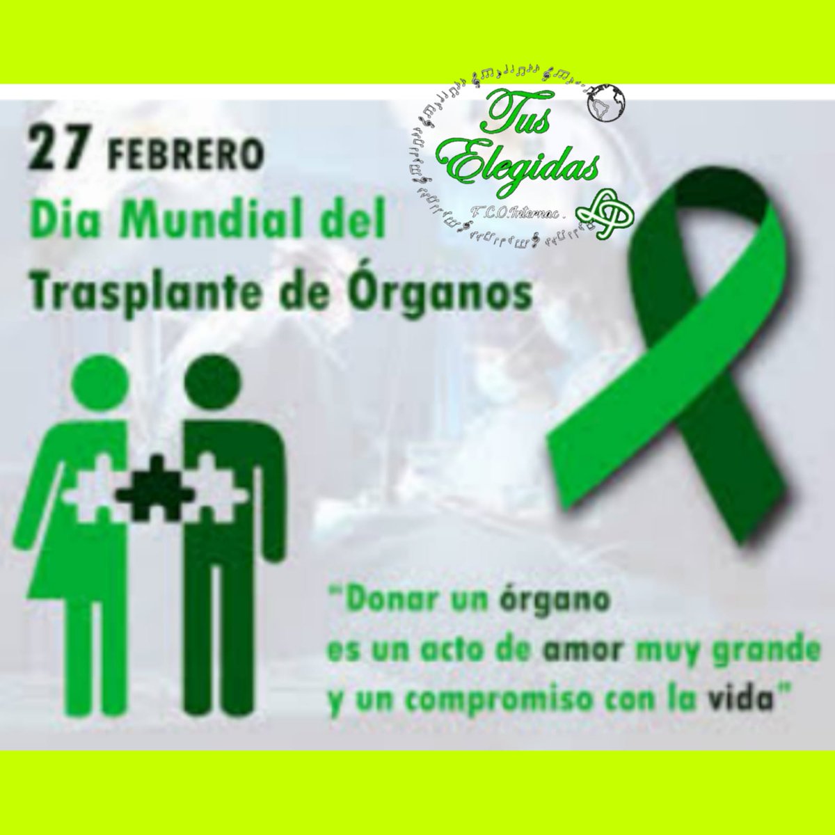 FCOI TusElegidas ✋💚 tweet media
