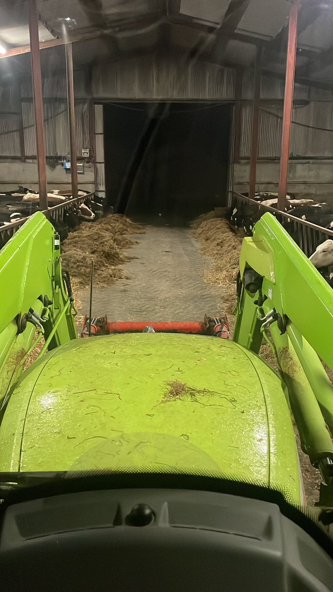 brianrushe81's tweet photo. Dry cows to the left of me, Milkers to the right.
Here I am stuck in the middle with you.
65% calved..starring to slow up a bit. #wrecked #compactcalving #hardgoing https://t.co/VsfVSznNlP