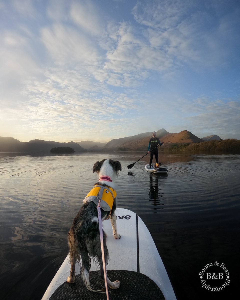 Where our fellow SUP pups at? #twitterdogs #DogsofTwittter #twitterdogcommunity #dog #LakeDistrict