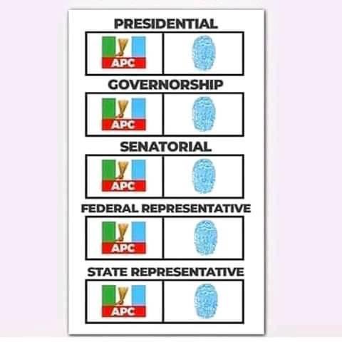 akinalabi's tweet photo. How to vote in 2023 https://t.co/4qaH5OJS55