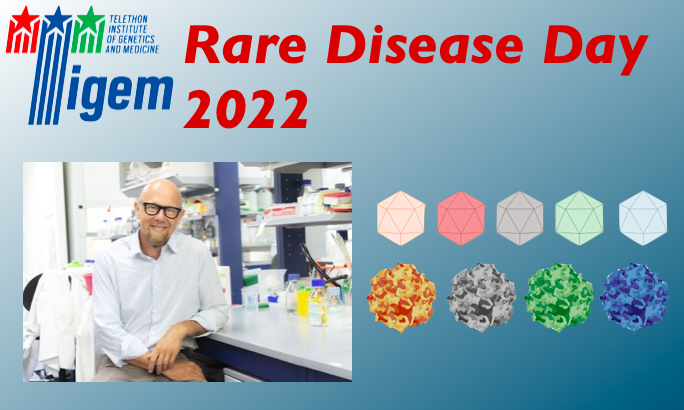 Tigem_Telethon's tweet photo. #RareDiseaseDay #AlbertoAuricchio
Mucopolysaccharidosis VI #MPSVI, caused by deficient arylsulfatase B activity, results in lysosomal storage of glycosaminoglycans &amp; is characterized by dysostosis multiplex, organomegaly, corneal clouding, and heart valve thickening. https://t.co/THdJ9Rd97w