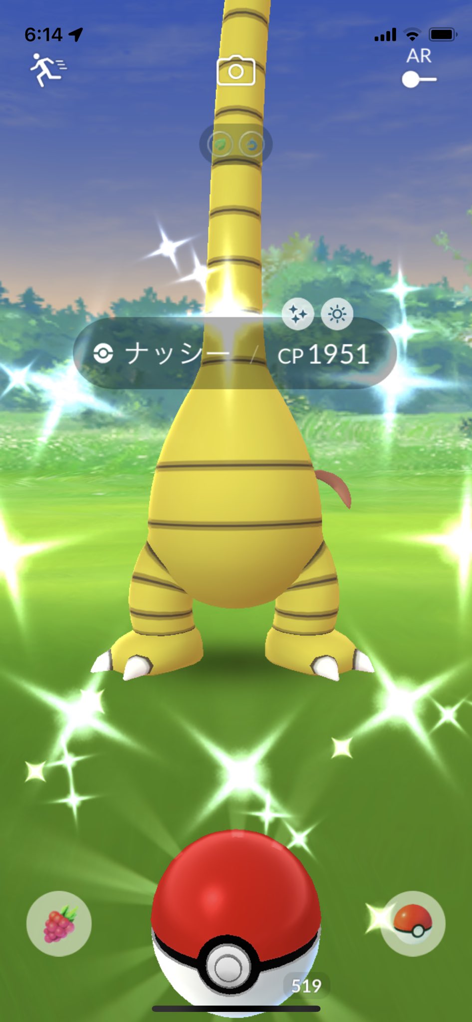 Roto ポケモンgo 朝から光っていくー ポケモンgo アローラナッシー色違い T Co F17zbevzdh Twitter Roto ポケモンgo 朝から光っていくー ポケモンgo アローラナッシー色違い T Co F17zbevzdh Twitter