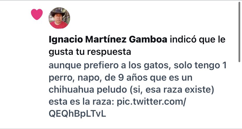 wallsxtbsl's tweet photo. ok q miedo https://t.co/5hzk07N81p