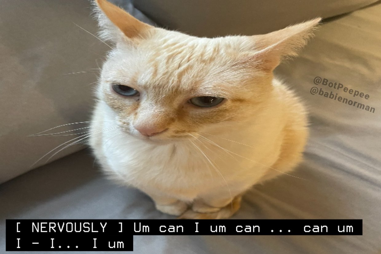 kitty captions! 🧡 on Twitter "https//t.co/8ZLFymeo9c" / Twitter