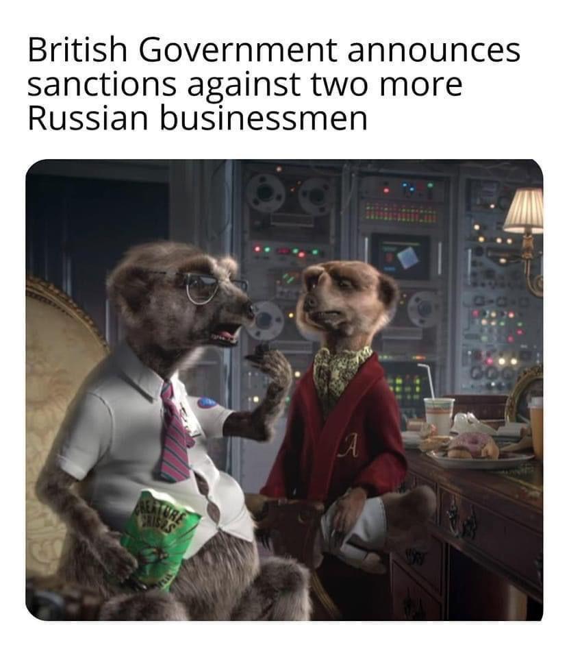 IwasTheRealDanieltheSpaniel tweet media