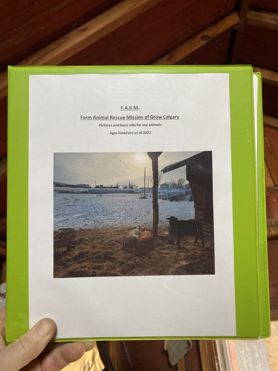 Grow Calgary tweet media