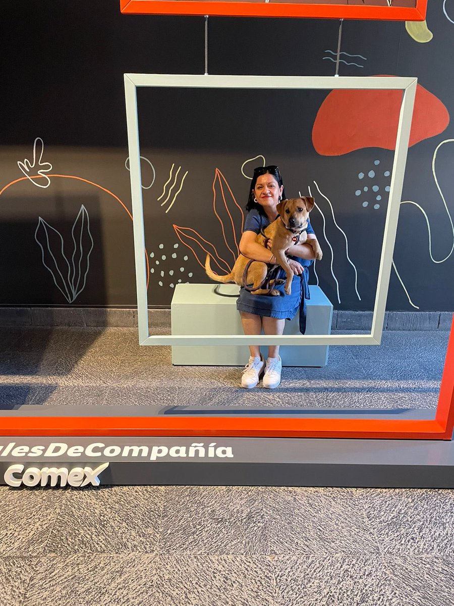 MireidaVT1407's tweet photo. Tokio visitando el @museo_sancarlos #AnimalesDeCompania 🐶❤️ https://t.co/tfLNQffu5k