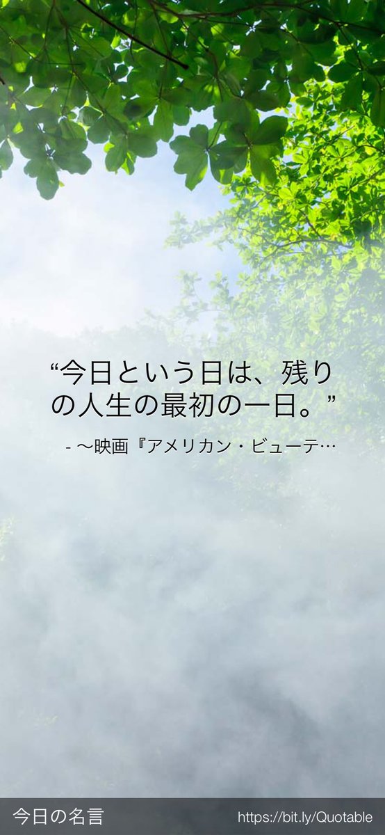 アメリカン ビューティー 映画 最新情報まとめ みんなの評価 レビューが見れる ナウティスモーション 3ページ目
