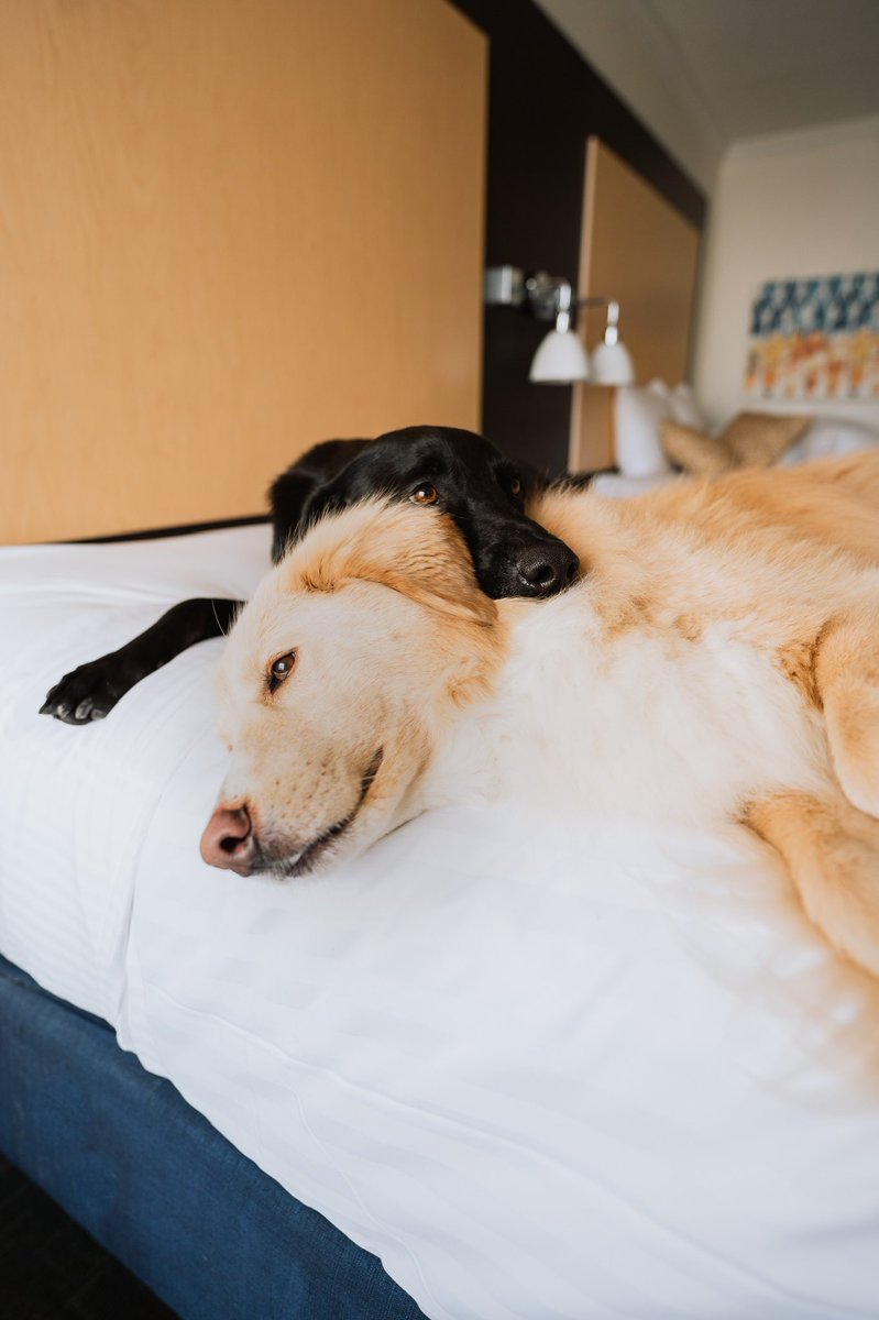 Ally, Kai & Riley tweet media