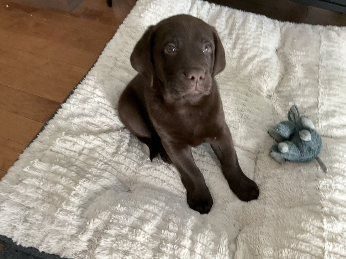 Jimmy & Earl tweet media