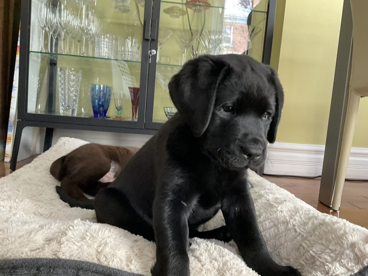 Jimmy & Earl tweet media