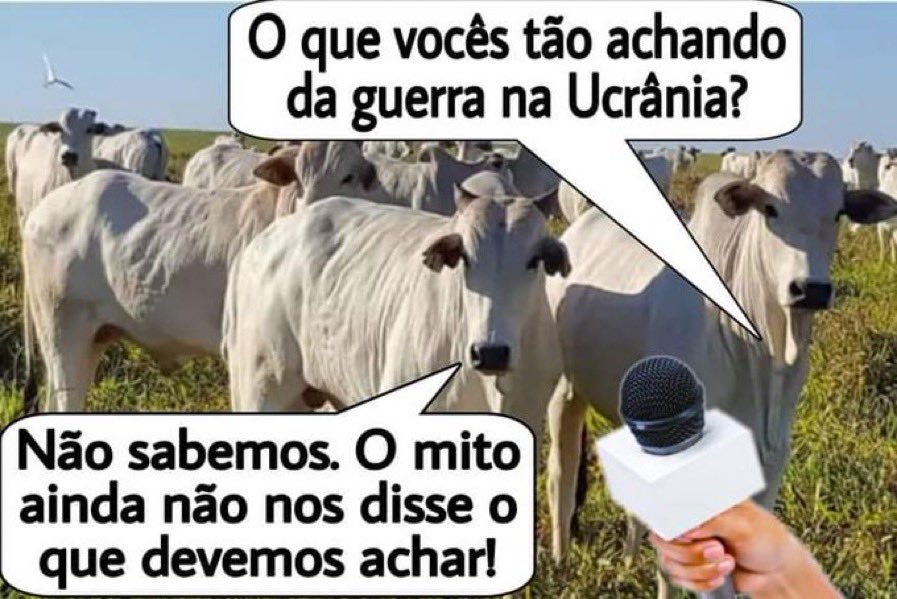 YodaRevolt's tweet photo. @Nildo21961213 @JoelPinheiro85 #BolsoFrouxo https://t.co/98qq1DYju0