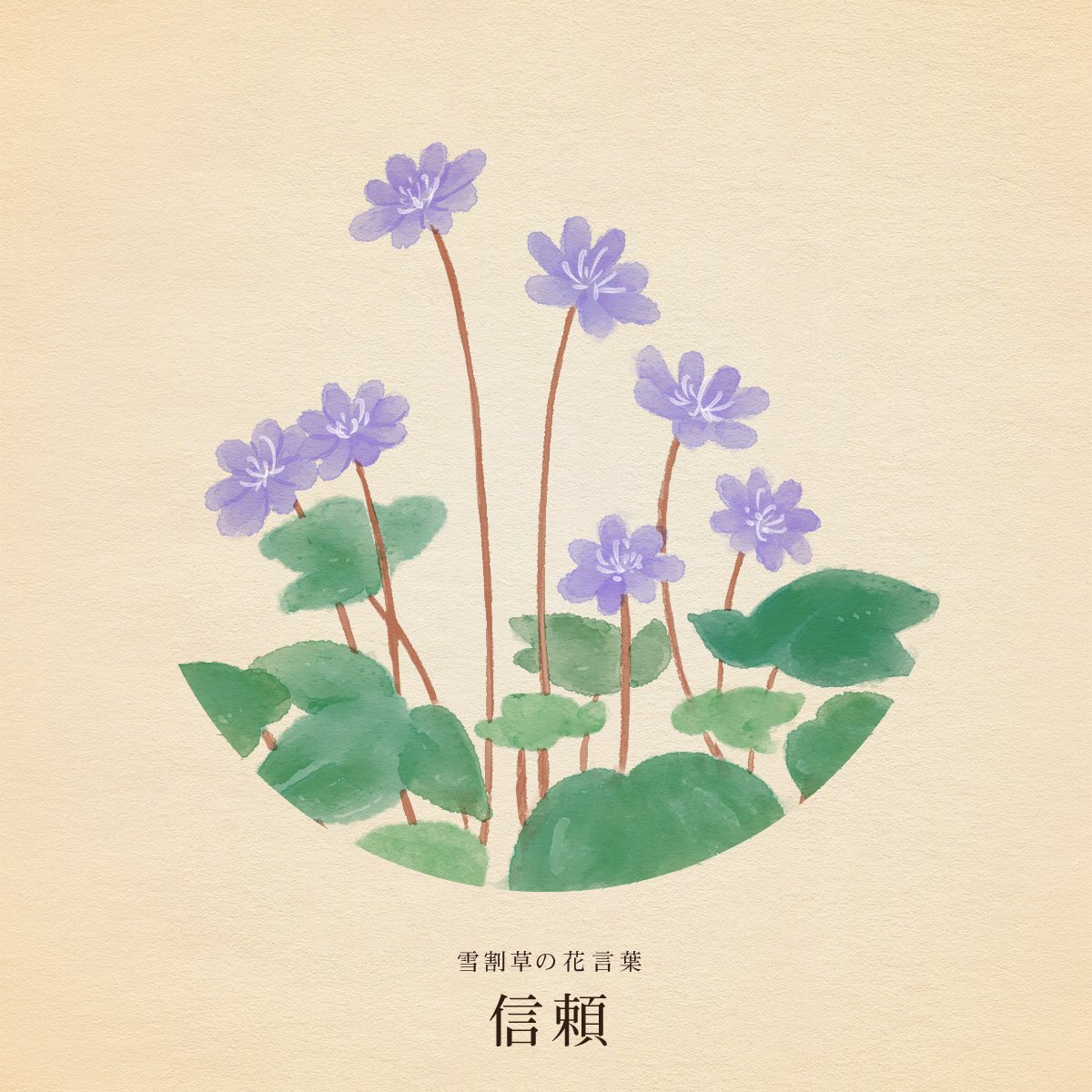 はな言葉 葉菜桜花子 新刊発売 きょう2月28日は ビスケットの日 バカヤローの日 エッセイ記念日 織部の日 ジョン テニエルの誕生日 誕生花は雪割草 ミスミソウ 花言葉は 信頼 T Co Degsosntgq Twitter