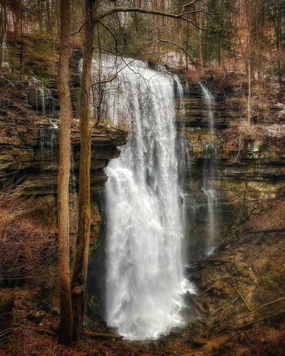 iSupportLocalTN's tweet photo. What is your Weekend in Tennessee looking like?

This amazing 📷 was taken by @elle.of.the.wild

#iSupportLocalTN #ShopLocalTN #Tennessee https://t.co/1DXhzDJkkm