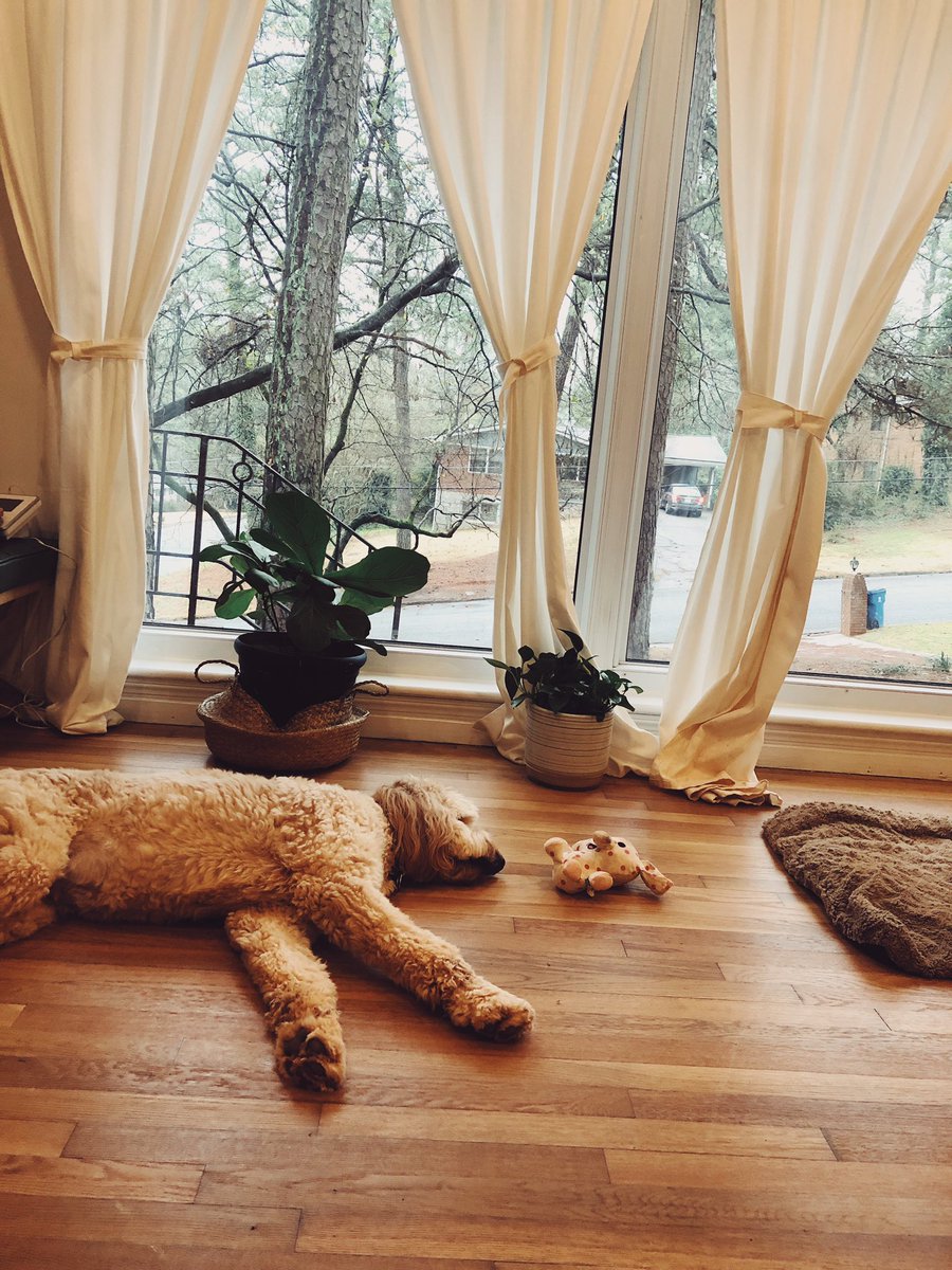 ChristaDavidArt's tweet photo. Also living the beautiful life I prayed for and believed for. #ForeverSunday #ProperLife https://t.co/871pIdwrML