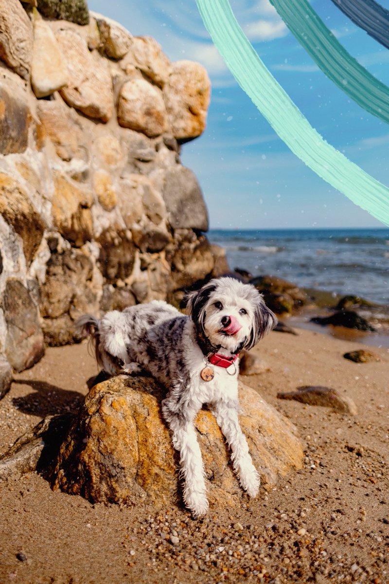 I had so much fun editing this photo that was wrecked by the IG crop in <a href="/acolorstoryapp/">A Color Story</a> and <a href="/adesignkit/">A Design Kit</a>! What new things have you tried since joining twitter?