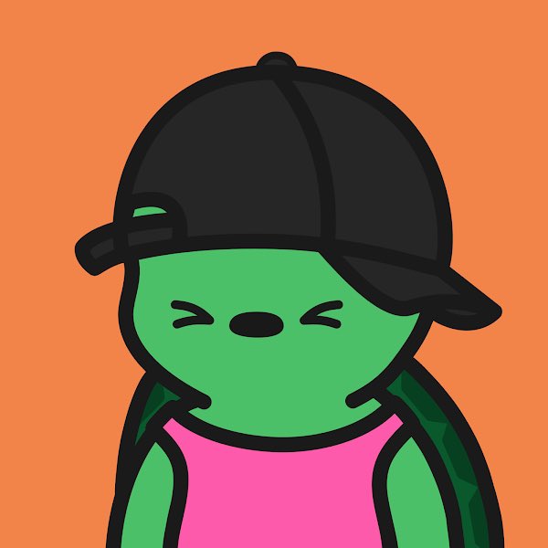 walshconnor_'s tweet photo. @TurtleTownNFT @opensea #5283 doesn’t get much cuter….
#turtletown https://t.co/iiGuF70HNo