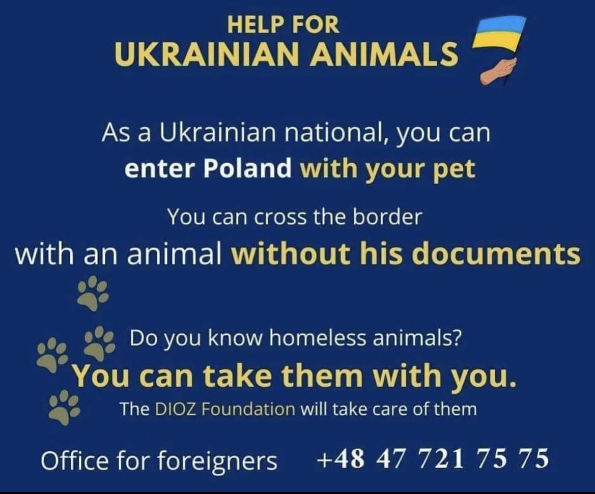 #PolandFirstToHelp #PolandwithUkraine #UkraineUnderAttack 
#Ukraina
Take your family and your animals you will find shelter in Poland.