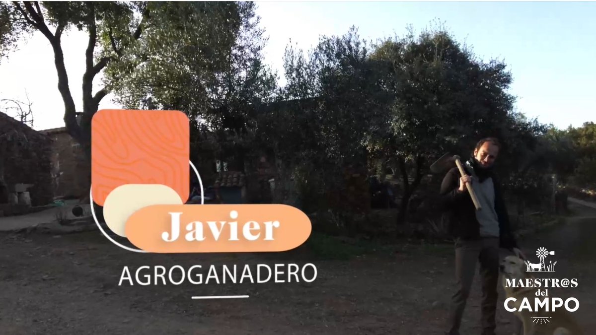 maestroscampo's tweet photo. 🔴 EN DIRECTO en 
 https://t.co/438l7wOq4F
Le damos la bienvenida a Javier, que recibe a nuestra aprendiz cogiendo producto fresco para llevarlo al mercadillo. ¿Qué otros productos llevará? Vamos a verlo
#ganadería #agricultura #Campo #Extremadura https://t.co/XhOFQvUG1L