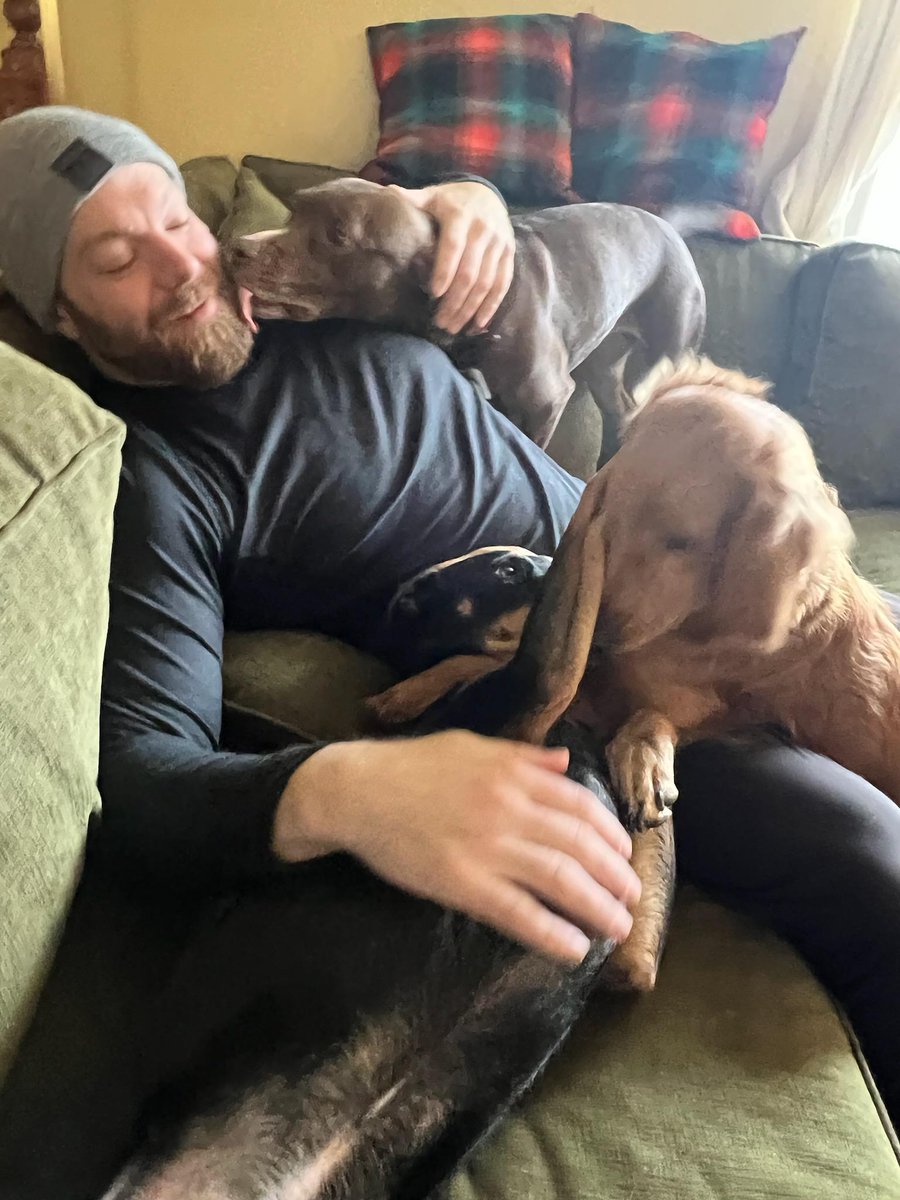 Dogs rule.
