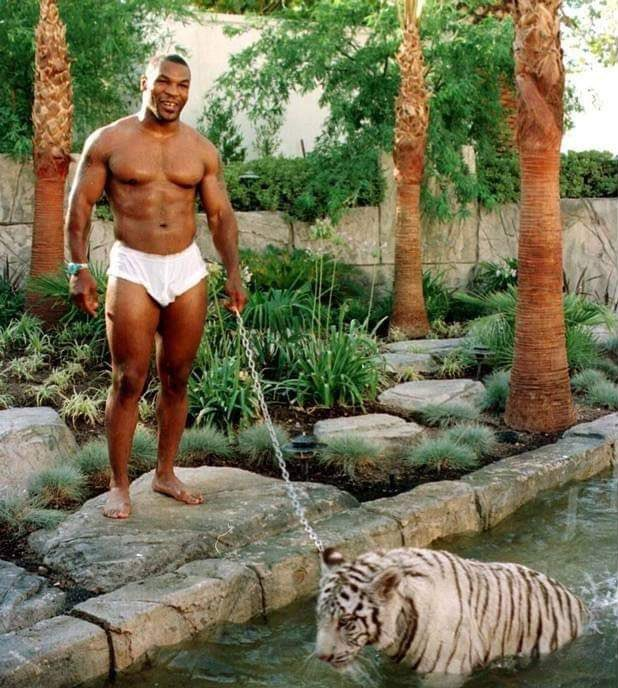 Mike Tyson with his tiger