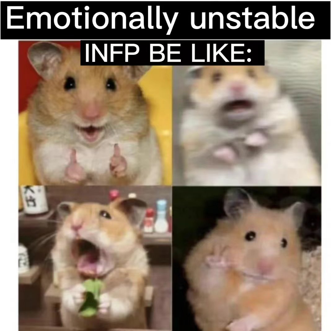 MbtiStudio's tweet photo. INFP be like🤣

#INFp #INFP #Memes #memesdaily #mbti_트친소 #MBTI https://t.co/eOPoYSRzrL
