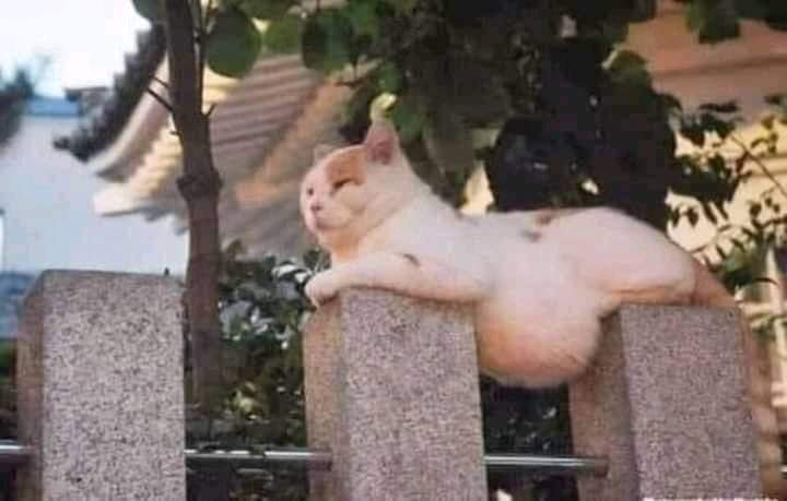 Bizarrement il me rapelle une personne en grève de faim dans un hôpital à Bizerte ....