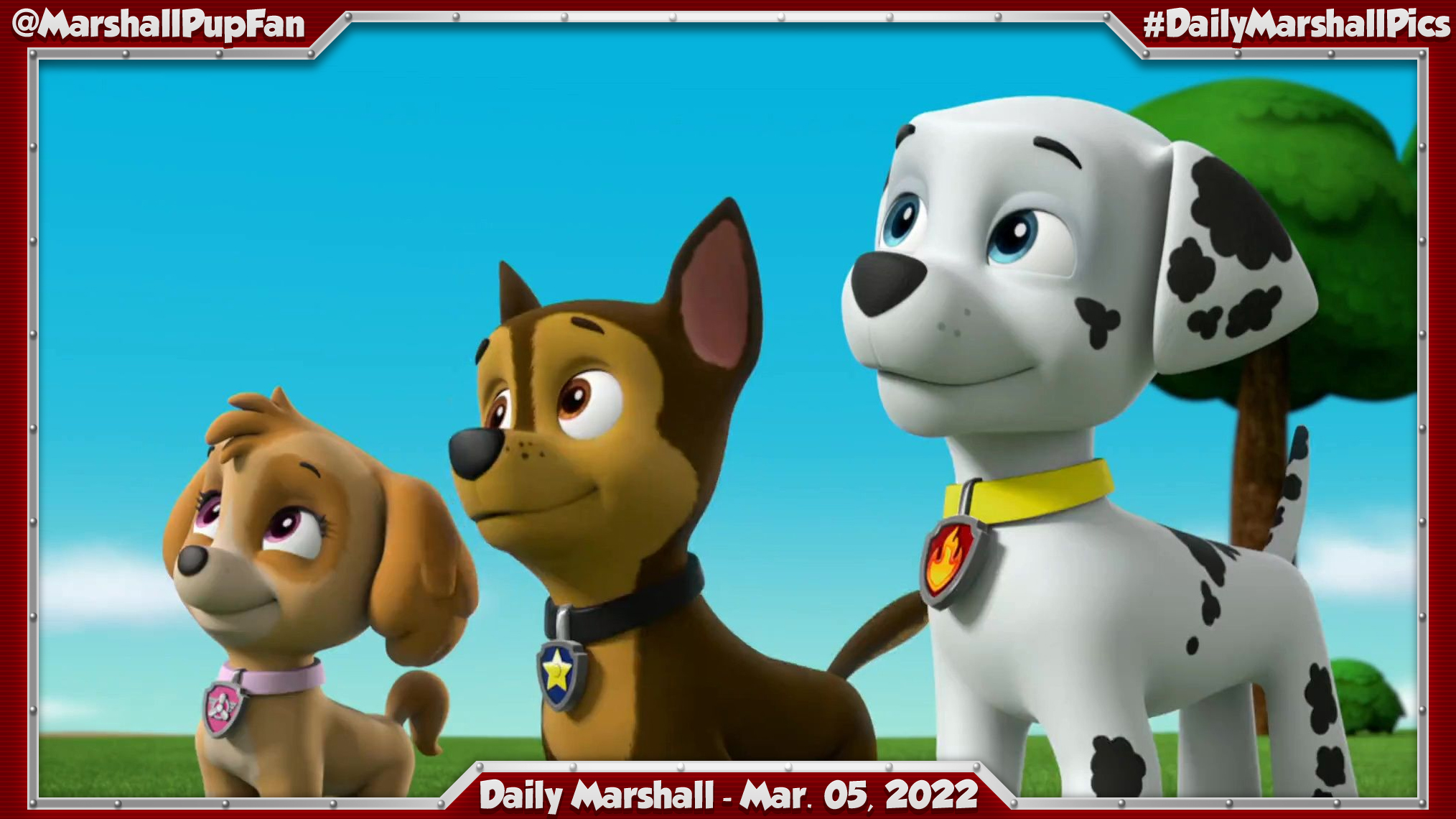 Marshall Pup Fanatic on Twitter "Daily Marshall March 05, 2022 