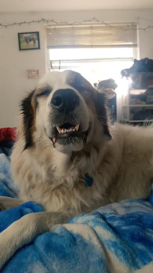 <a href="/narabernese/">Nara</a> Hi!