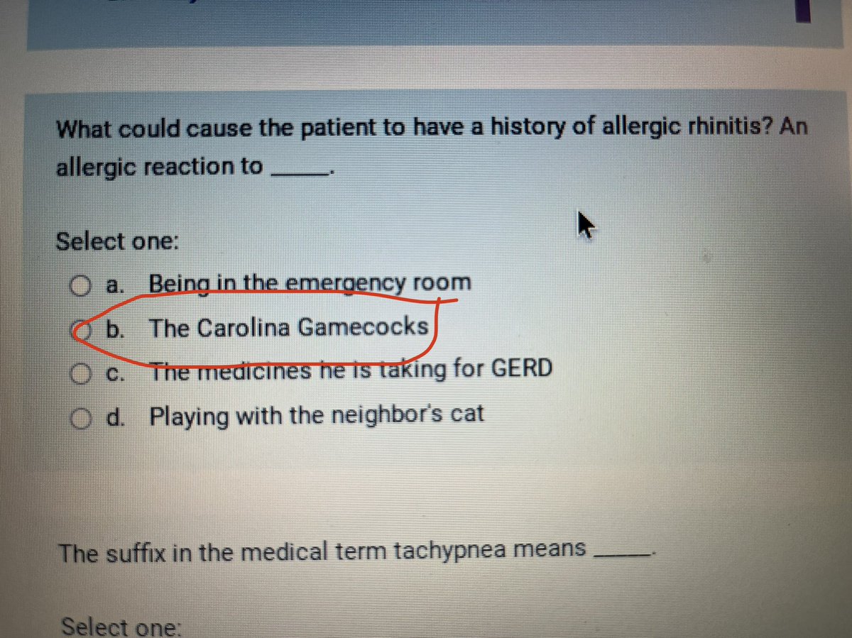 Kadenater1x's tweet photo. Bro why is my school like this! Lol #CarolinaGamecocks #Pcva #Virtual #VirtualSchool #Funny #funniesttweets https://t.co/KxC7D2ZqyN