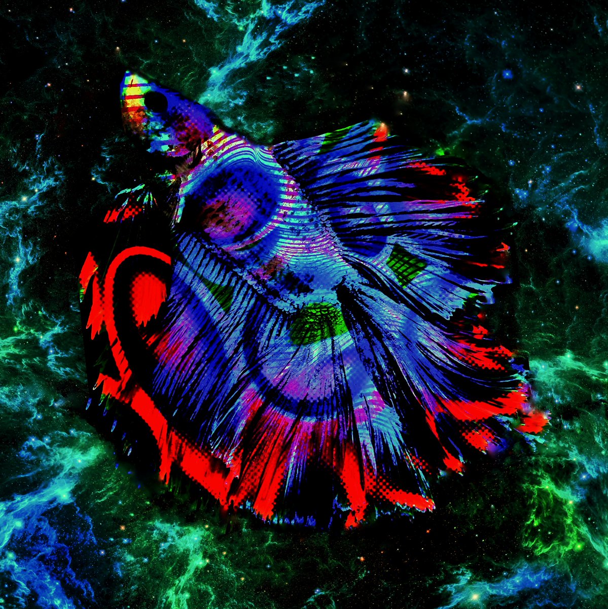 ozycubano's tweet image. Cosmic Swimmer (0.3 $ETH)
Colors and Insanity bound together like ballet and grace. Blue, green, red, and yellow present in proportions with thought. To mask my emotions, art was my last resort.
opensea.io/assets/0x495f9…