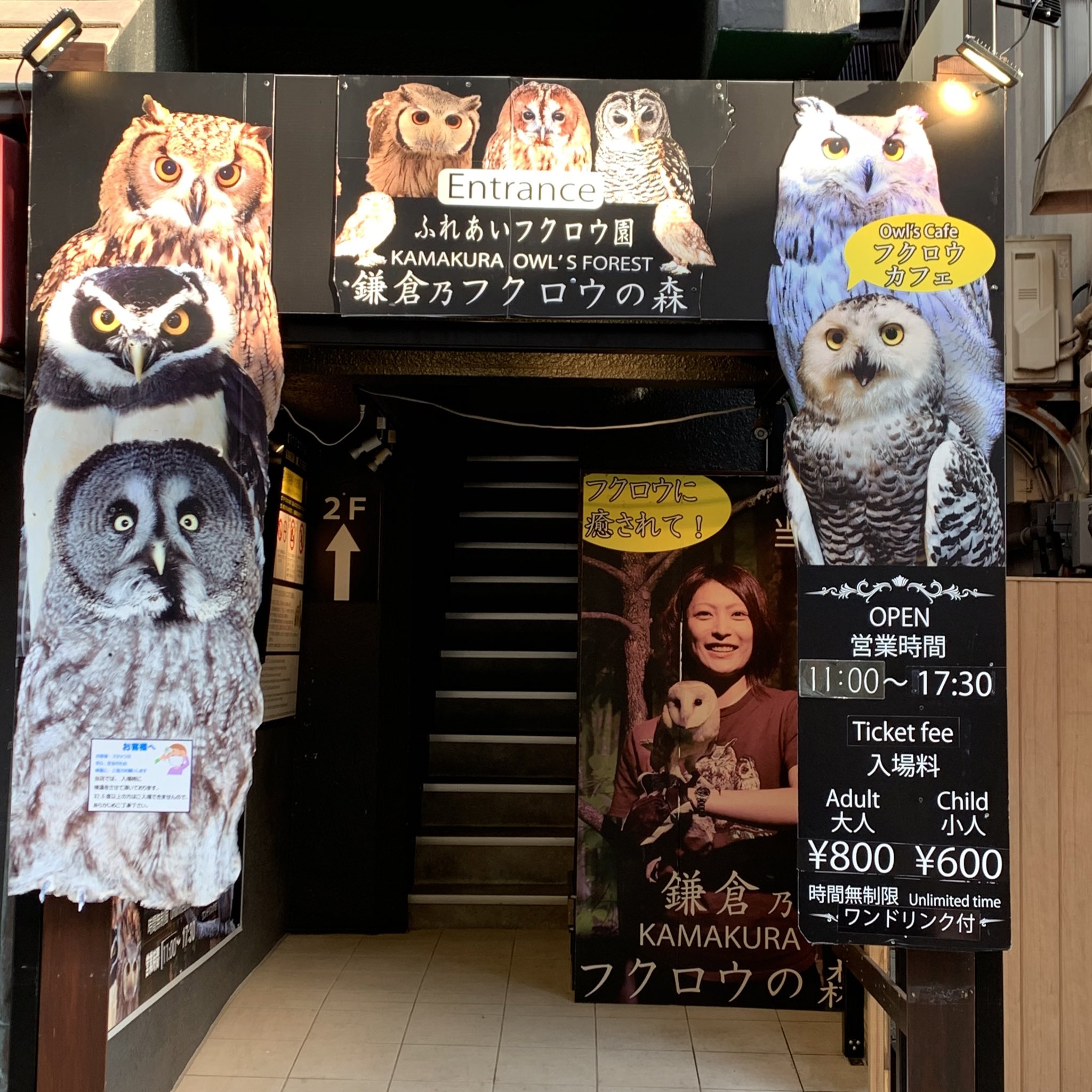 鎌倉乃フクロウの森 Kamakuraowl Twitter