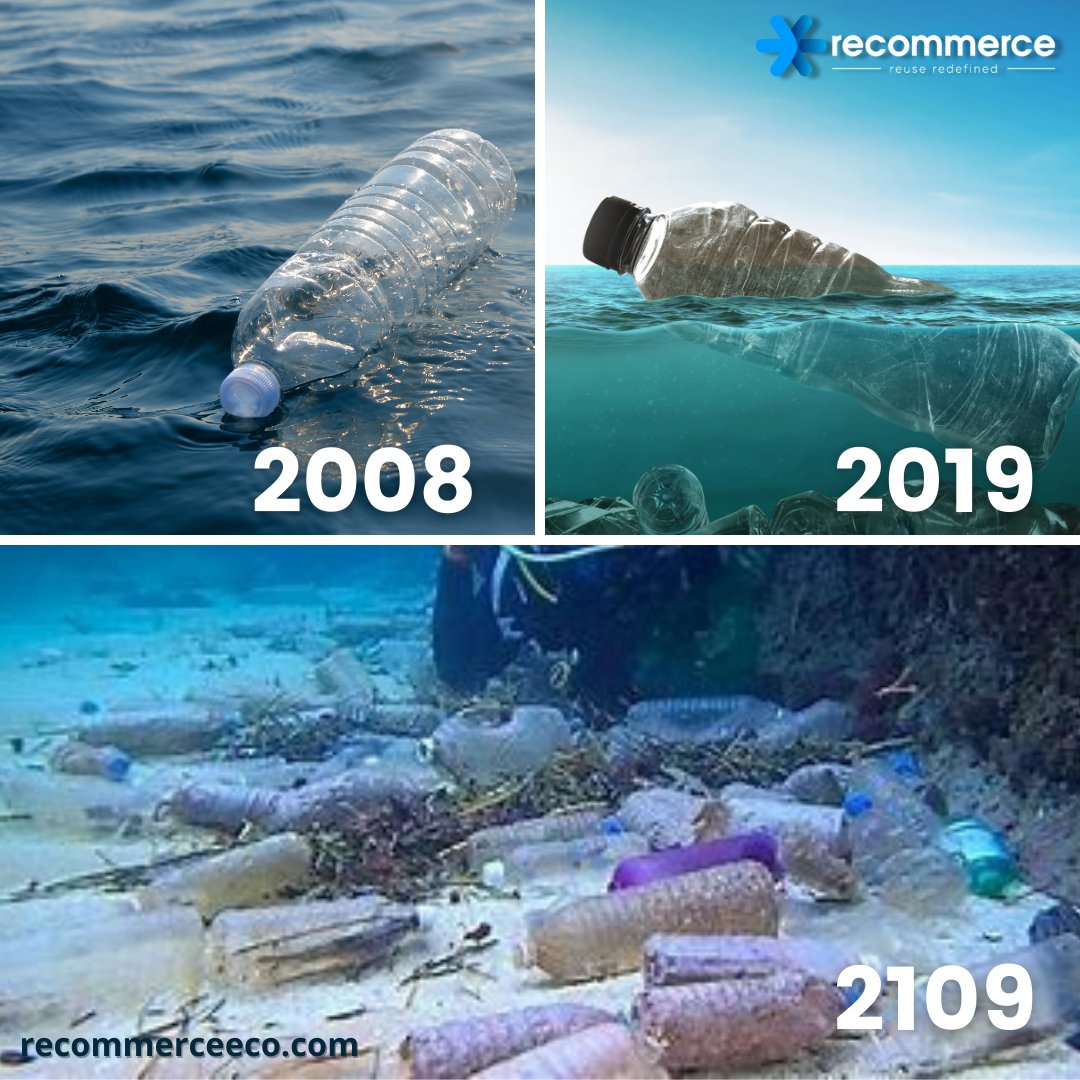 #Plasticbottles and other plastic #waste have not only caused pollution but also killed #wildlife, making it an urgent issue to stop using plastic.⁣

#recommerce #environment