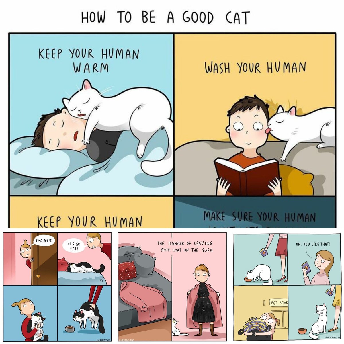FunCats7's tweet photo. Here are some funny drawings from an artist who describes what life with a cat in the house feels like. 🤩👀