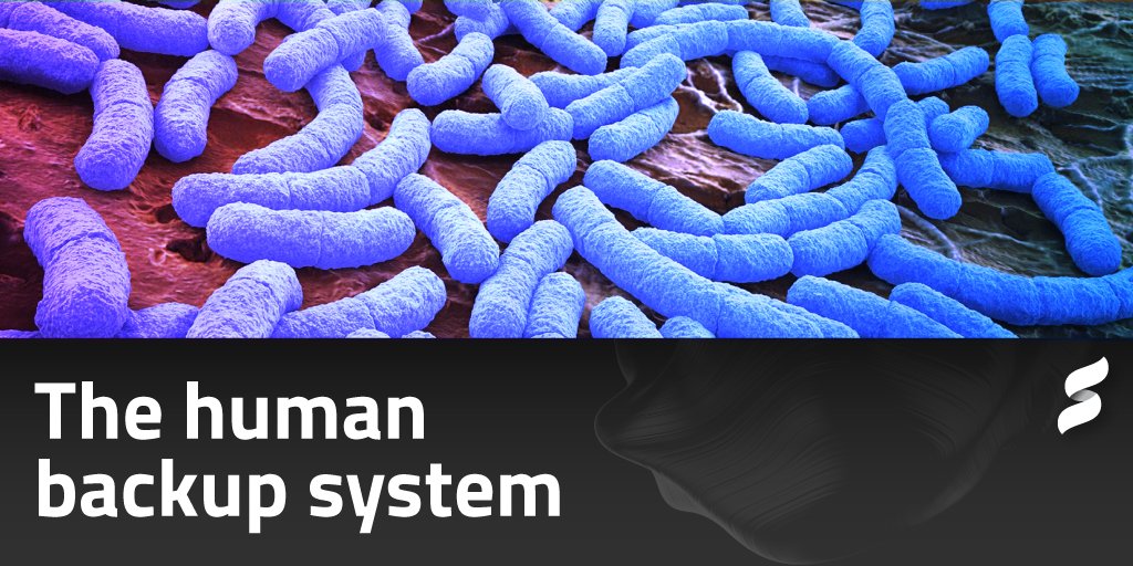 SentialG's tweet photo. #Aging is an unavoidable but extendable process. #Stemcells could be a #backupsystem for the living organism to replace damaged tissue or worn-out cells. Thus, stem cells could be a core factor in deciding aging. https://t.co/HD7QeA7Jgp